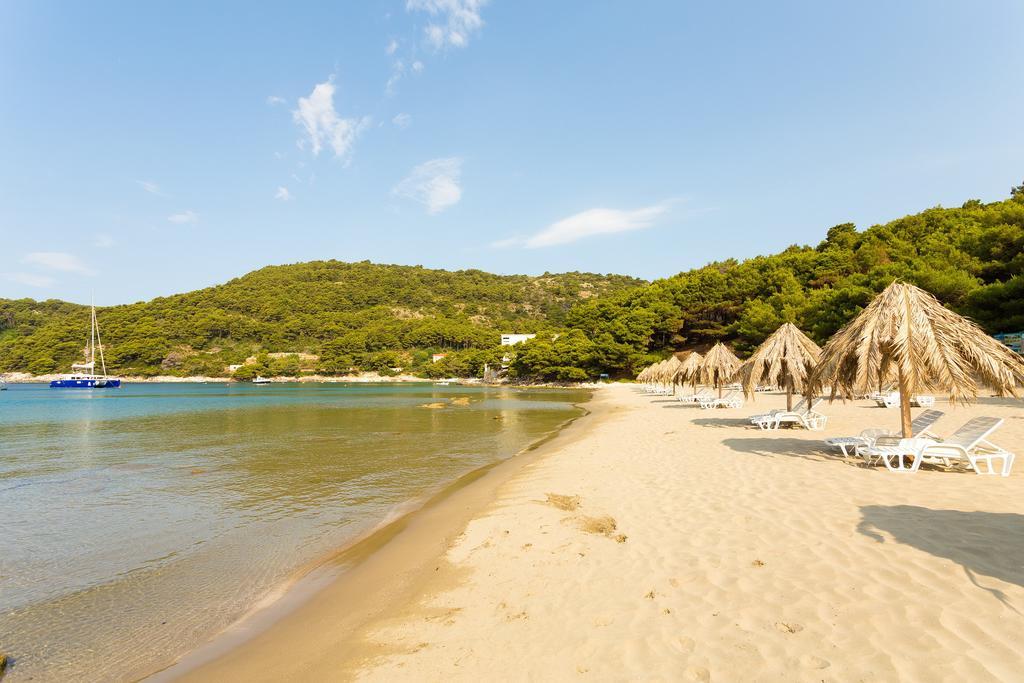Apartment Pine Tree Boutique Apartments Saplunara