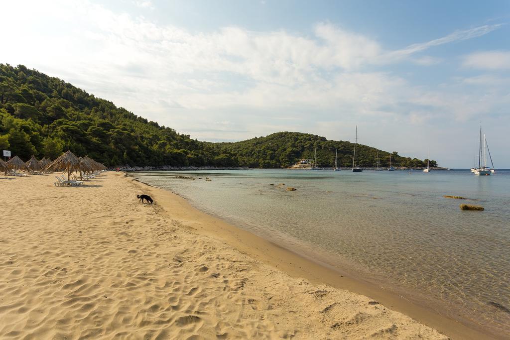 Apartment Pine Tree Boutique Apartments Saplunara