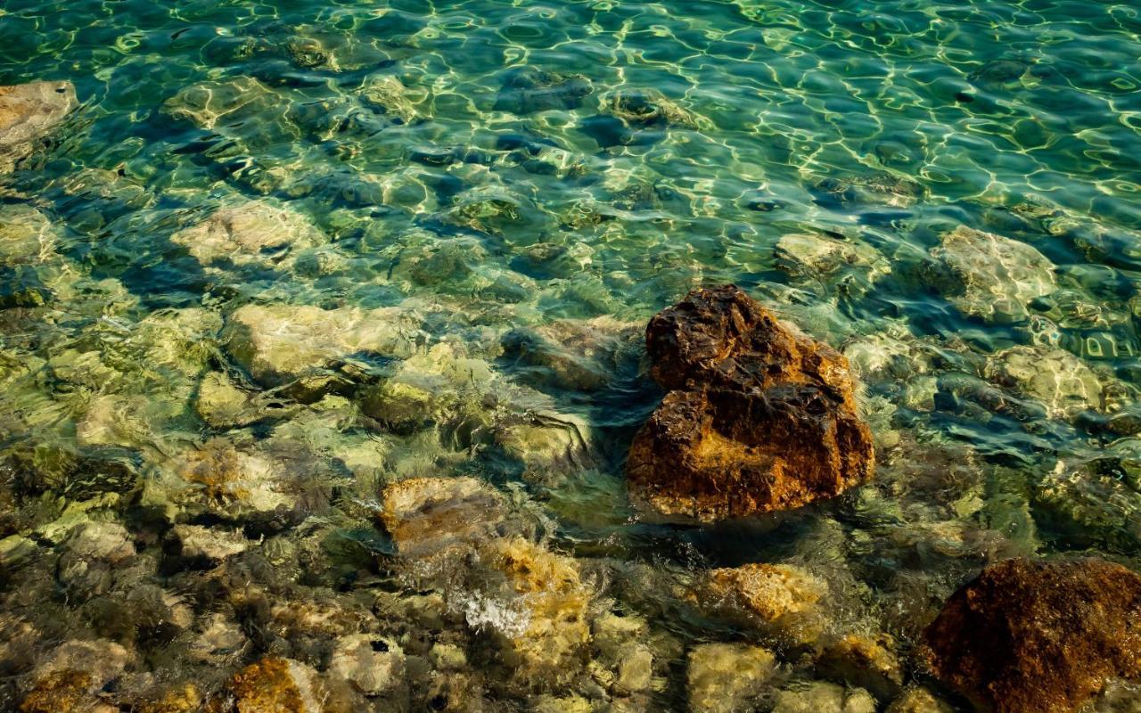 Pine Tree Boutique Apartments Apartment Saplunara