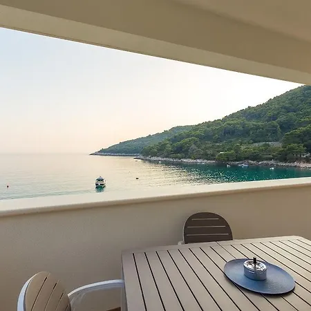 Pine Tree Boutique Apartments Saplunara Room photo