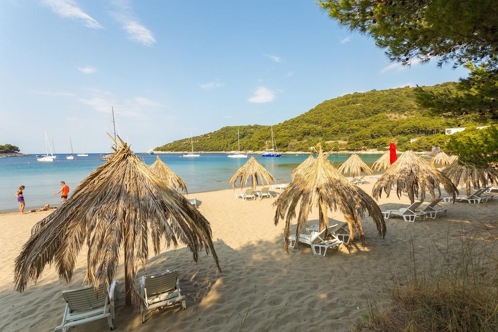 Pine Tree Boutique Saplunara